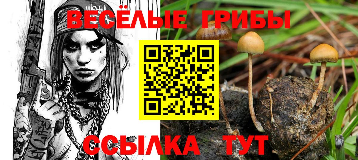 Ессентуки  КОКАИН  Меф   Вейп ТГК  Вход с VPN  ГАШИШ  Марихуана 