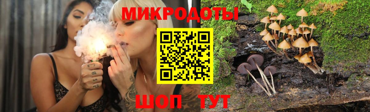 Ессентуки  Псилоцибиновые грибы Psilocybine cubensis  Вход с VPN 